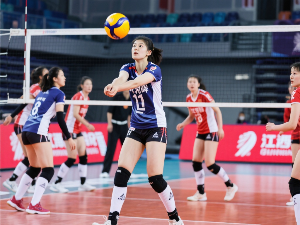 的职业生涯 的职业生涯