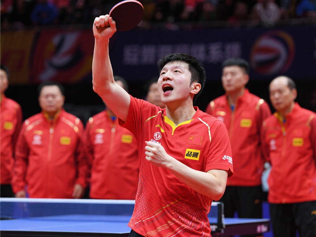 或许需要引 或许需要引